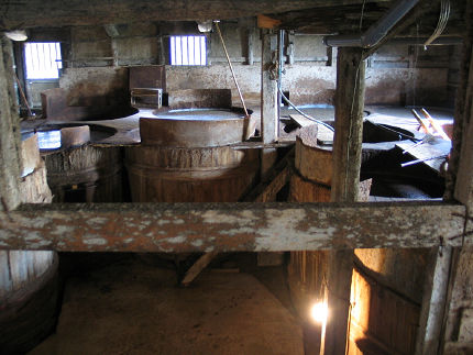 080426_shodoshima_02