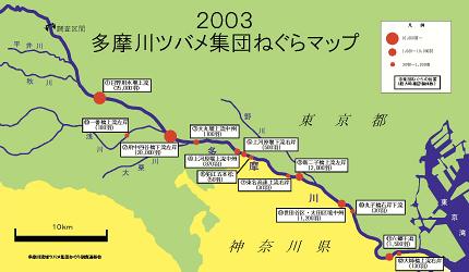080612_tsubame_03