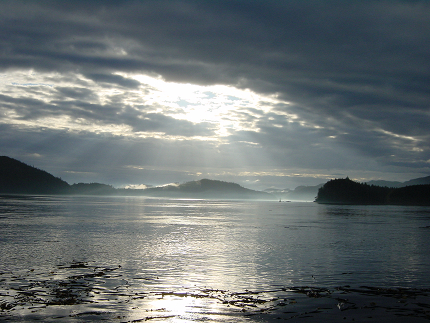080712_orcalab-08