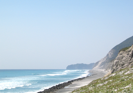 1004niijima-04