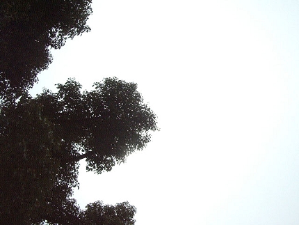 matsuda_fukuoka