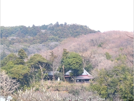 nish_070420_02