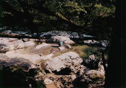 nish_070501_01